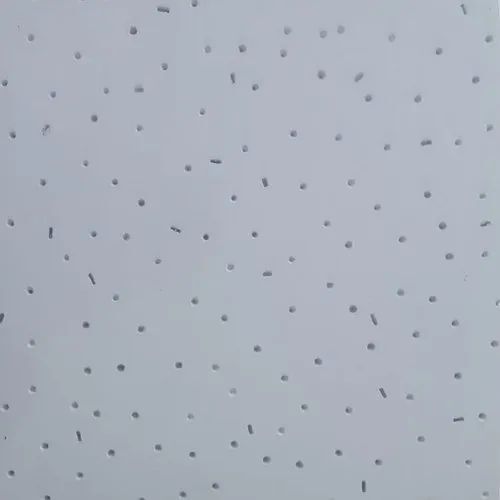 Grey Calcium Silicate Ceiling Tile