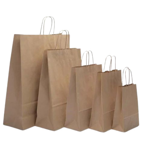 Paper Bag - 8x10 Inches, Brown Color | Biodegradable, Moisture Proof, Recyclable, Handled Design, 2kg Capacity