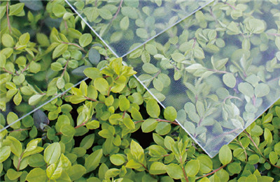 Solar glass-2.0/3.2