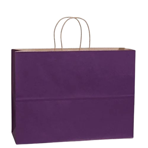 Kraft Paper Shopping Bag - 1 to 5 kg Capacity Purple Color | Biodegradable Moisture Proof Recyclable Rope Handle