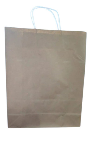 6kg Loop Handle Paper Carry Bag - Paper 120 GSM, 16x13 Inch Size , Brown Color - Biodegradable, Moisture Proof, Recyclable, Rope Handle