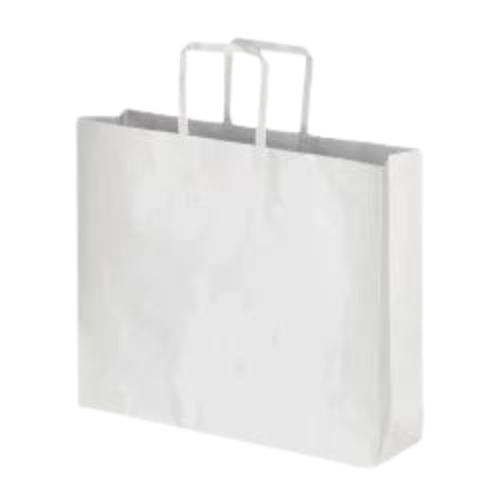 Flat Handle Paper Bag - 1 Kg Capacity, 80 GSM White Paper | Biodegradable, Moisture Proof, Recyclable, Rope Handle