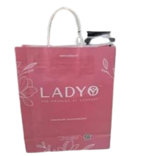 Paper Shopping Bags - 3 Kg Capacity, 16x12 Inches | Biodegradable, Moisture Proof, Recyclable with Rope Handle
