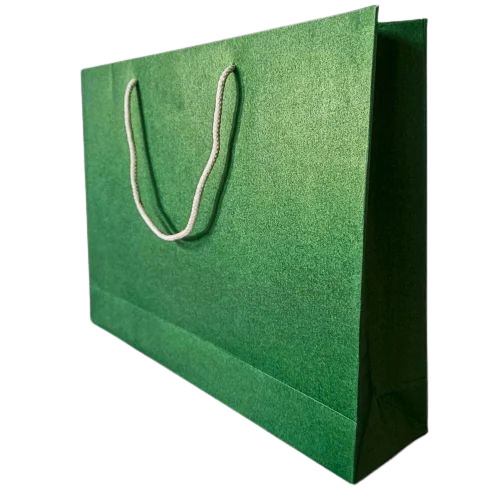 Green Paper Shopping Bag - Plain Design, Rope Handles | Biodegradable, Moisture Proof, Recyclable