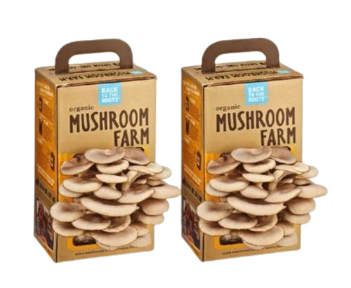 cardboard packing boxes