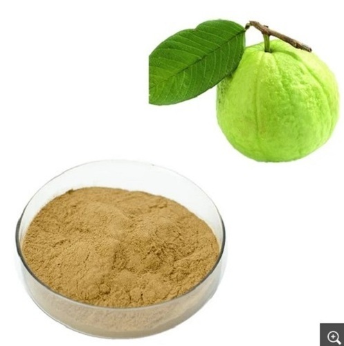 Guava Powder - 99% Purity, Light Brown Color, Sweet Taste | Hygienically Packed, Long Shelf Life, Timely Delivery