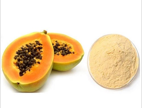 Papaya Powder - Long Shelf Life, Hygienically Packed, Rich in Taste and Quality, Tested for Various Quality Standards | For Medicinal Use, Enjoyed by All