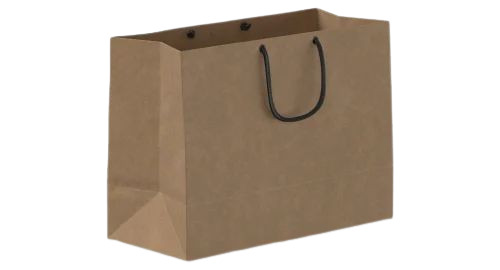 Brown Paper Packaging Bag - 12x14 Inches | Biodegradable, Moisture Proof, Recyclable, Rope Handle, Max Load 4 Kg