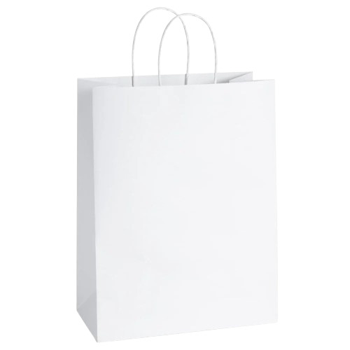 White Paper Bag - Paper Material, 8 x 5 Inch Size, Biodegradable, Moisture Proof, Recyclable, Rope Handles, Max Load 2 Kg