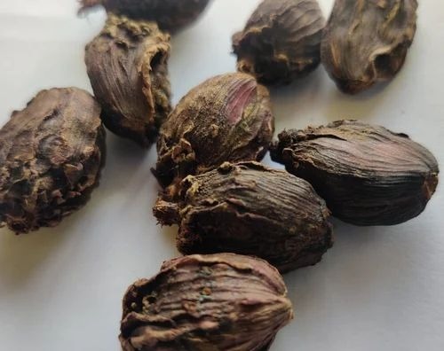 Badi Elaichi - Whole Bold Black Cardamom Spices | Grade A, Dried, Round Shape, Room Temperature Storage, PP Bag Packaging