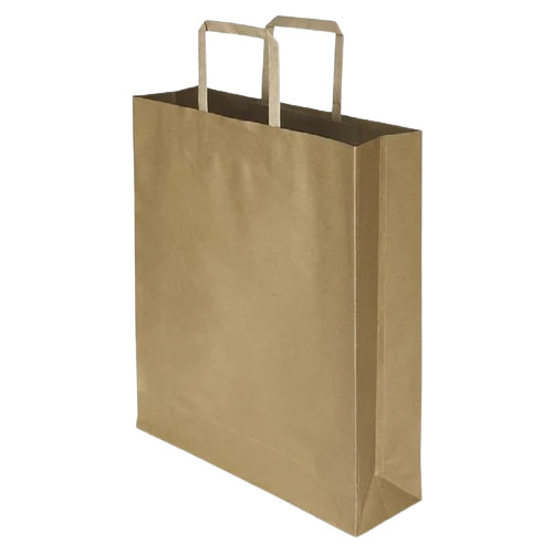 Brown Paper Bag - (8x10 Inches) | Plain Design, Biodegradable, Moisture Proof, Recyclable, Max Load 2.5