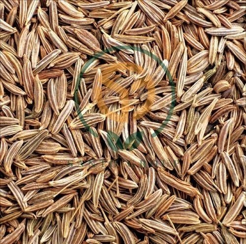 Cumin Seed - 25 Kg Brown Jeera | 99% Purity Machine Clean Shelf Life 1 Year Cool and Dry Storage
