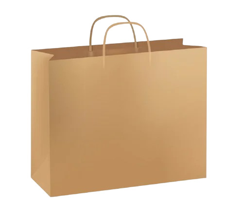 Kraft Paper Carry Bag - 3.5 Kg Capacity, 16x12 Inches, Brown Color | Biodegradable, Moisture Proof, Recyclable, Plain Style