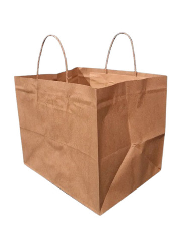 Paper Carry Bag - 8x10 Inches , Brown Plain Style with Rope Handle, Biodegradable & Moisture Proof, Max Load 3 Kg