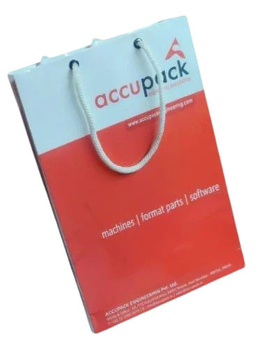 Printed Duplex Paper Carry Bag