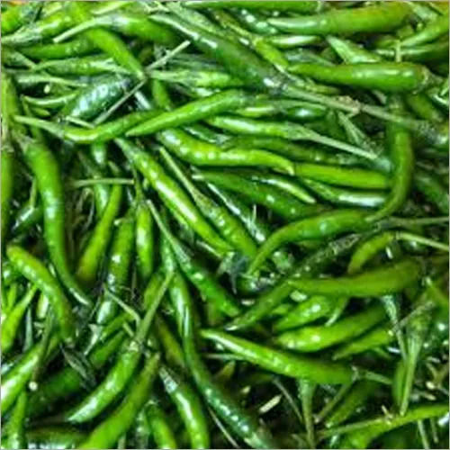 Fresh Green Chilli - Moisture (%): 100%