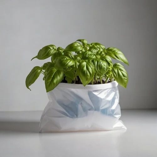 High Density Polyethylene Grow Bags - 4x4 Inch, Green Color for Flower Planting - Ideal for Small Greenhouse Use