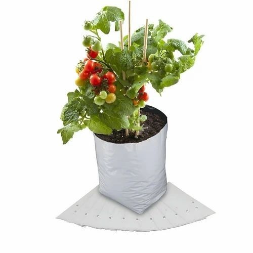 Hydroponic Growing Bag