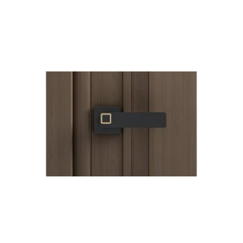 Black Brass Mortise Handle