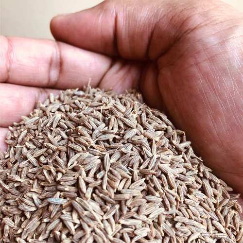 CUMIN SEED