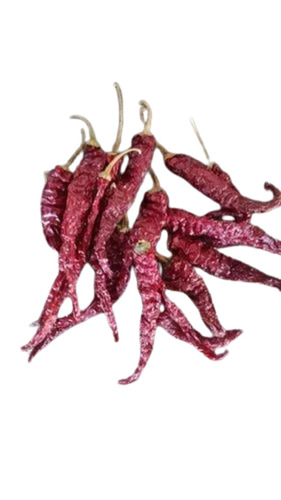 Dry Red Chillies - Fresh Quality Spicy Flavor Pure Red Color in Bag Packaging
