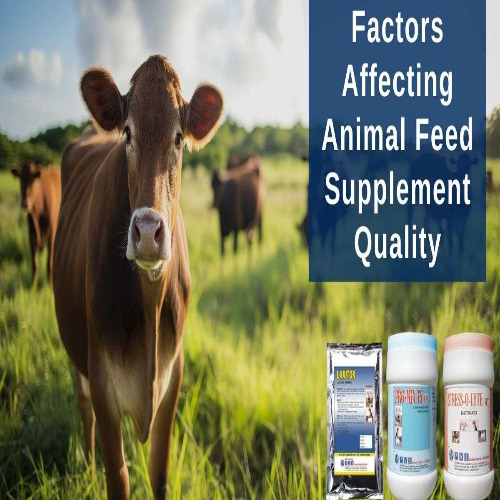 Animal Feed Supplements By Vrundaben Ketankumar Panchal