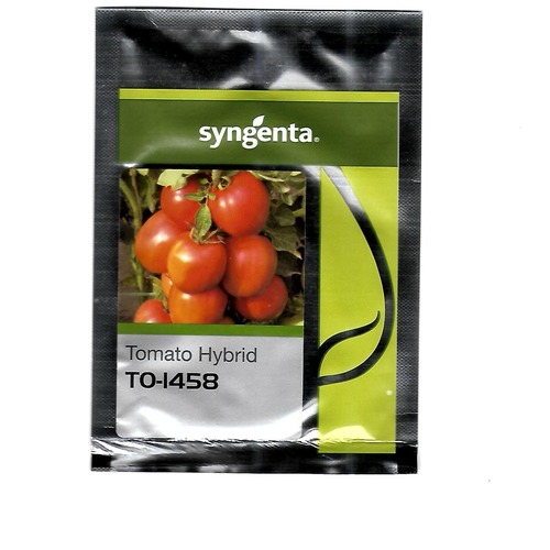 Hybrid Tomato Seeds - Color: Green