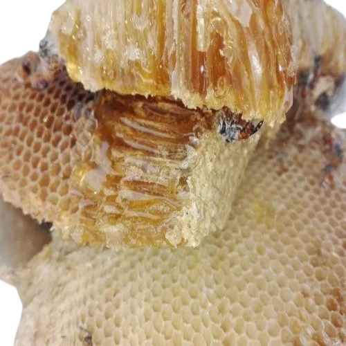 Natural Forest Honey - Liquid, Sweet Flavor | Food Grade, Ideal for Personal Use and Culinary Applications, 1 Year Shelf Life, Jar Packaging