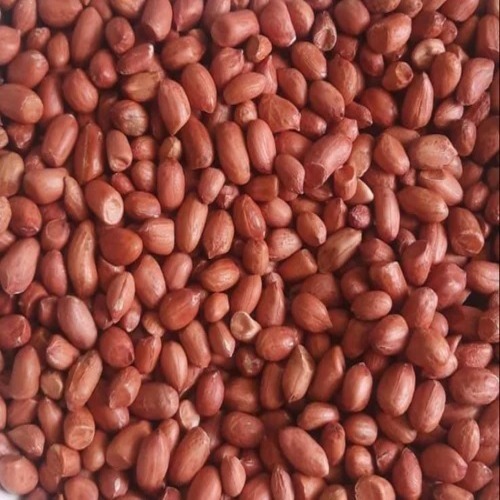 Raw Peanuts - Organic Grade A, Soft Texture, Brown Color | Dried - Product of India