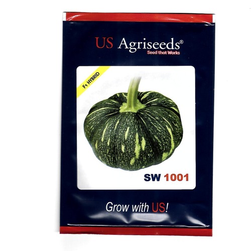 Pumpkin Seeds - Color: Green