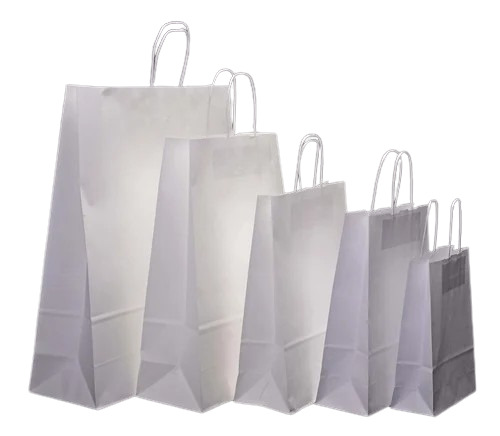 White Plain Paper Carry Bag - Biodegradable, Moisture Proof, 10x12x4 Inch, White Color | Rope Handle, Recyclable, Customized, Plain Style
