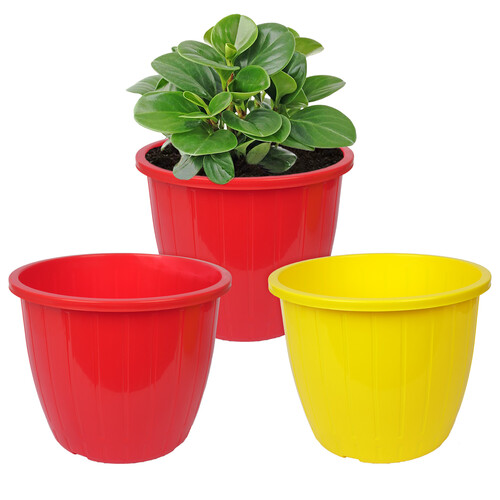 Multicolor Plastic Flower Pot