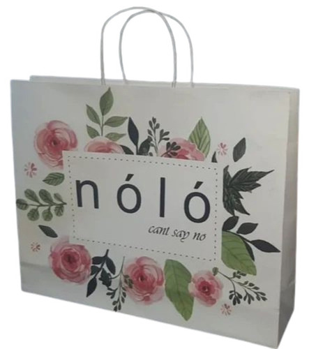 Printed Paper Bag - 70 GSM, Rope Handle Style | Biodegradable, Moisture Proof, Recyclable