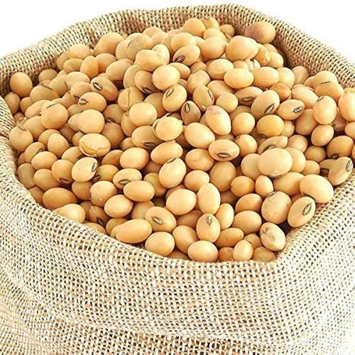 Soya Bean - Fresh, Brown, 100% Pure | High Fiber, Gluten-Free, Antioxidant-Rich, Low Fat, Non-GMO, Plant-Based