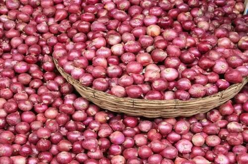 Red Onion - Moisture (%): Yes