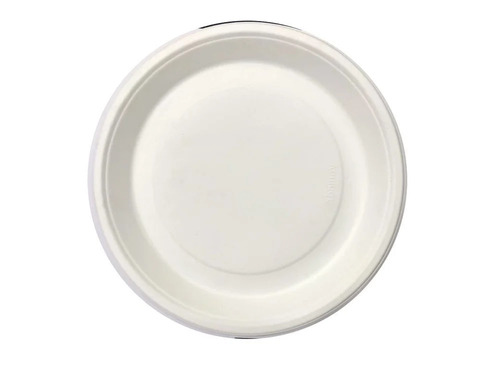 11 Inch Biodegradable Paper Plate