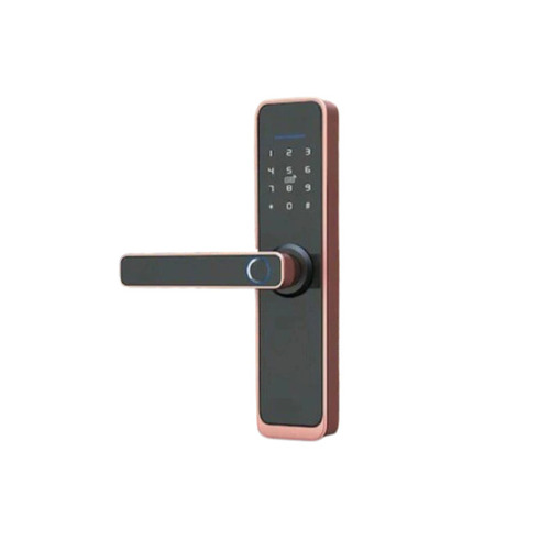 Biometric Door Lock Handle