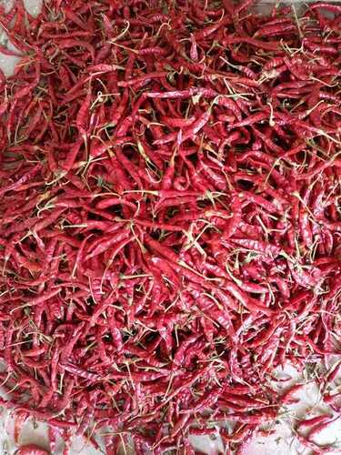 Dried Red Chilli