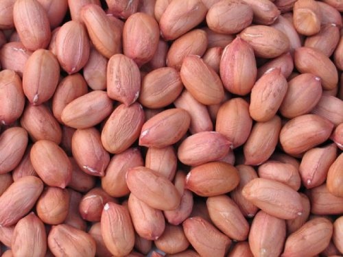 Peanuts, Ground nuts, Blanched Peanuts