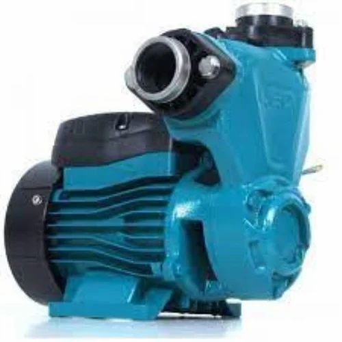 Self Priming Peripheral Pump