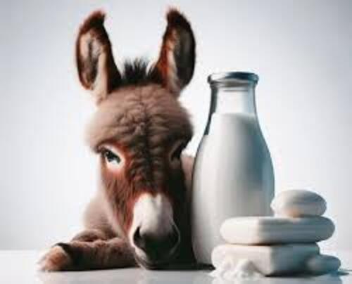 Donkey Milk - 50gm Fresh Organic Donkey Milk in Bottle, Ivory White Color for Adults, Babies, Children, and Elderly