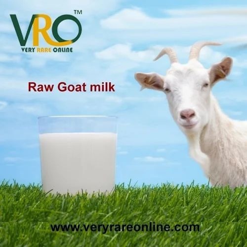 Goat Milk - 500gm Bottle Organic Quality Milk for Adults Babies Children and Seniors | Fresh White Color 12 Days Shelf Life