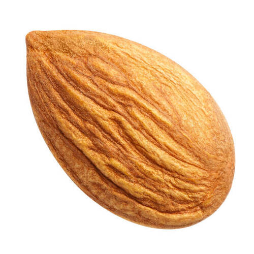 Almond Nut