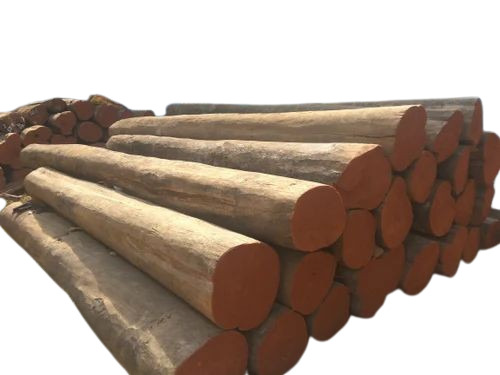 Brown Teak Wood Logs