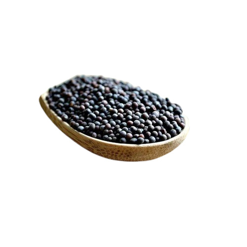 Black Mustard Seeds - Natural Dried Form A Grade Raw Pieces | Black Color 1-Year Shelf Life Ideal for Human Consumption
