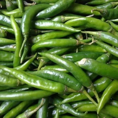 Fresh Green Chilli - A Grade 5-15 cm Length Distinct Spicy Flavor | Common Shape 6-Month Shelf Life Ideal for Cooking Available in Plastic Bag Carton Gunny Bag