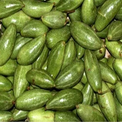 Fresh Parwal Vegetable - Green Color A Grade Organic No Artificial Flavour No Preservatives | Common Shape Cooked Style