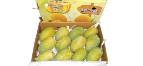 Kesar Mango - Organic 500g | Yellow A Grade FSSAI Certified Round Shape Ideal for Milkshakes pH 3.5 to 4.3 Vitamin A 23.2%