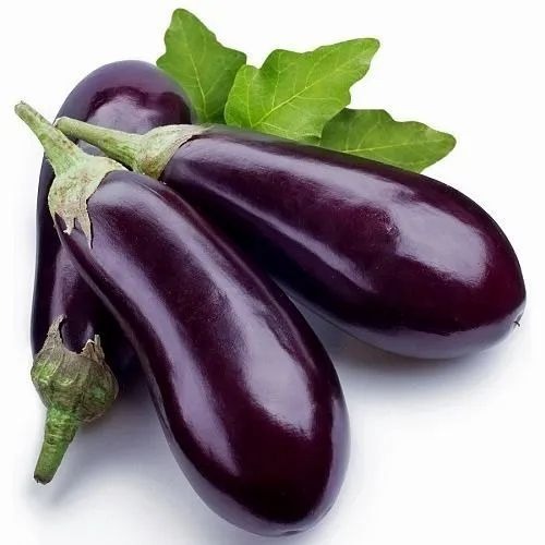 Organic Fresh Brinjal - A Grade, No Artificial Flavour, No Preservatives | Common Shape, Cooked Style, Organic Quality