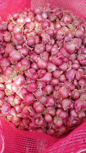 Red Onion